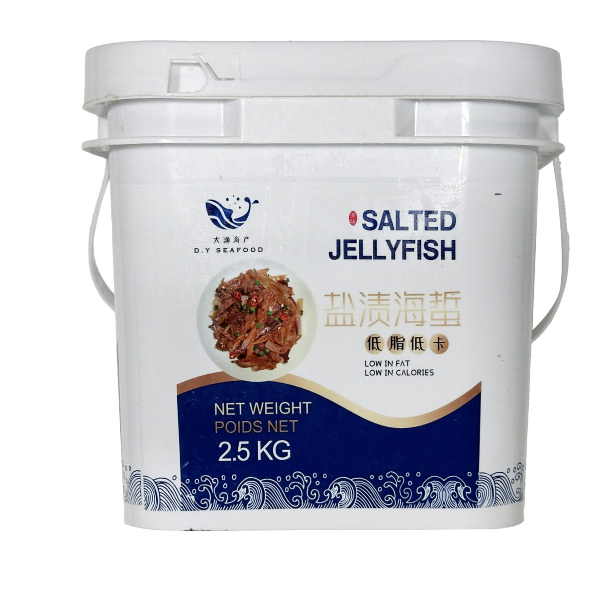 Jellyfish In a Small Bucket  2.5KG